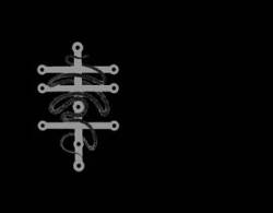 Dawn of the Conqueror